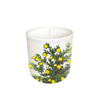 Lemon Tree - Terrace Collection Candle