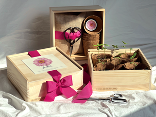 Flower Cutting Garden Box | Mixed Zinnia