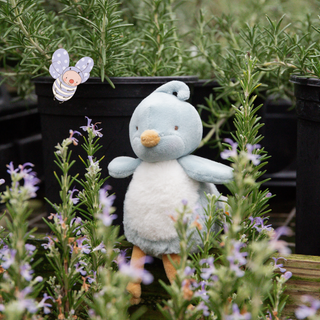Tweet the Blue Bird Roly Poly