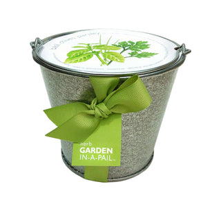 Garden in a Pail | Herbs