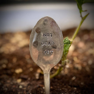 NOT DEAD YET - Garden Marker