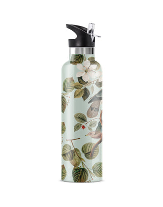 ENCHANTING Birds Bougie 25 oz Insulated Water Bottle : Cream
