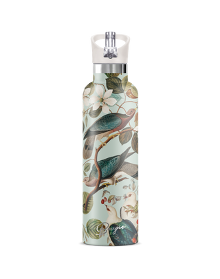 ENCHANTING Birds Bougie 25 oz Insulated Water Bottle : Cream